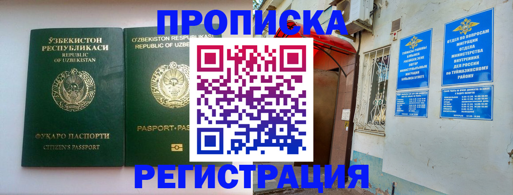 где прописаться в Палласовке